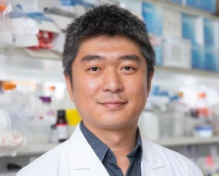 Prof. Jun Wu